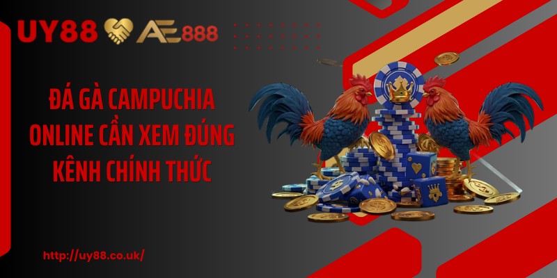 Đá Gà Campuchia Online UY88: 3 Điều Hội Viên Cần Biết - playrocket.sbs