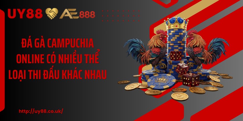 Đá Gà Campuchia Online UY88: 3 Điều Hội Viên Cần Biết - playrocket.sbs