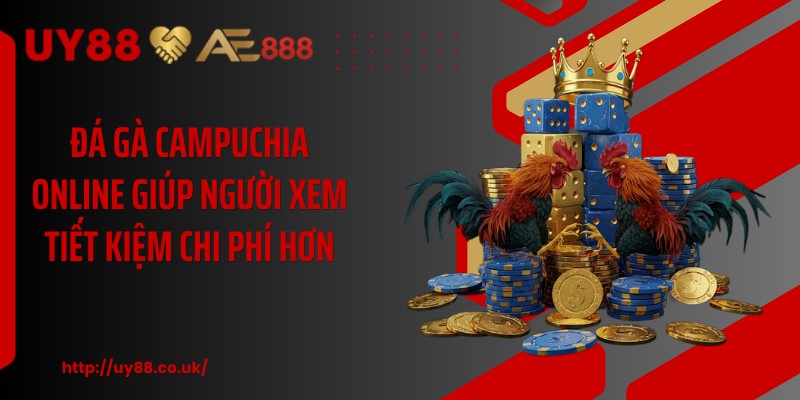 Đá Gà Campuchia Online UY88: 3 Điều Hội Viên Cần Biết - playrocket.sbs
