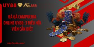 Đá Gà UY88: 4 Hình Thức Cược Hấp Dẫn Cho Hội Viên Mới - playrocket.sbs