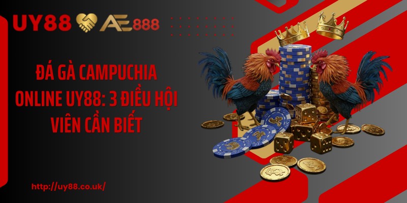 Đá Gà Campuchia Online UY88: 3 Điều Hội Viên Cần Biết  - playrocket.sbs