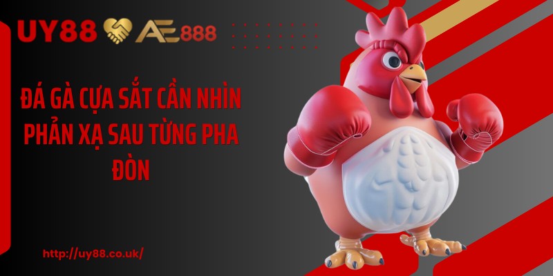 Đá Gà Cựa Sắt UY88: 3 Cách Theo Dõi Dễ Hiểu, Hiệu Quả  - playrocket.sbs
