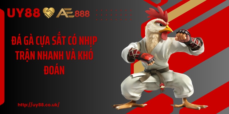 Đá Gà Cựa Sắt UY88: 3 Cách Theo Dõi Dễ Hiểu, Hiệu Quả  - playrocket.sbs