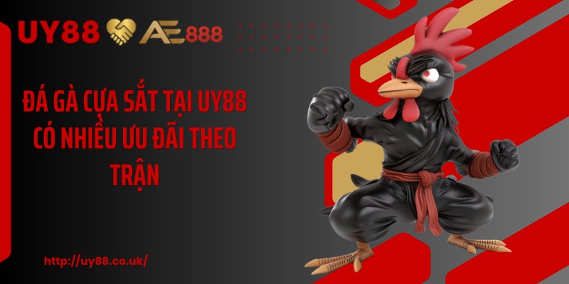 Đá Gà Cựa Sắt UY88: 3 Cách Theo Dõi Dễ Hiểu, Hiệu Quả  - playrocket.sbs