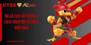 Đá Gà UY88: 4 Hình Thức Cược Hấp Dẫn Cho Hội Viên Mới - playrocket.sbs