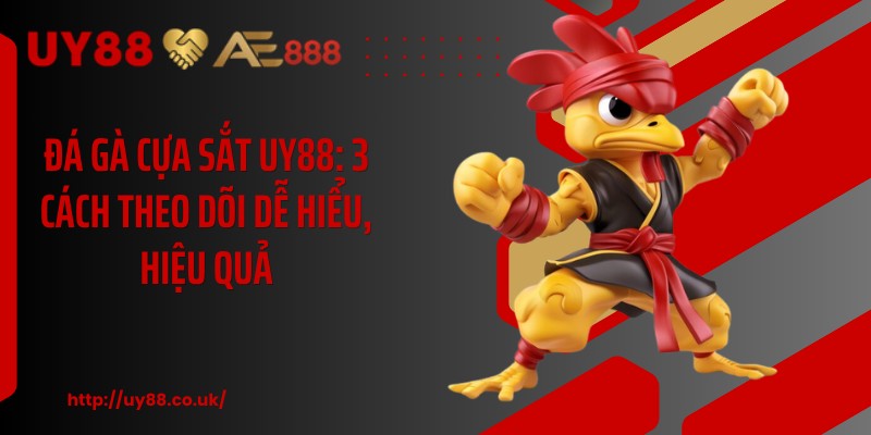 Đá Gà Cựa Sắt UY88: 3 Cách Theo Dõi Dễ Hiểu, Hiệu Quả  - playrocket.sbs
