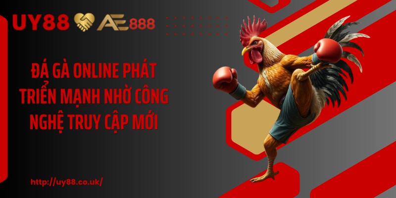 Đá Gà Online UY88: 4 Góc Nhìn Người Chơi Cần Nắm Rõ - playrocket.sbs