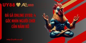 Đá Gà UY88: 4 Hình Thức Cược Hấp Dẫn Cho Hội Viên Mới - playrocket.sbs