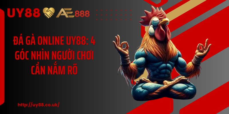 Đá Gà Online UY88: 4 Góc Nhìn Người Chơi Cần Nắm Rõ - playrocket.sbs