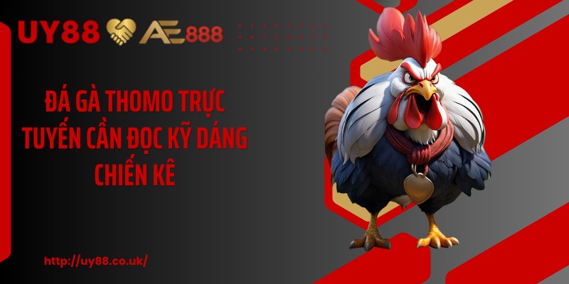 Đá Gà Thomo Trực Tuyến UY88 - 4 Bước Vào Sảnh Nhanh - playrocket.sbs