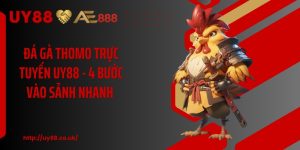 Đá Gà UY88: 4 Hình Thức Cược Hấp Dẫn Cho Hội Viên Mới - playrocket.sbs