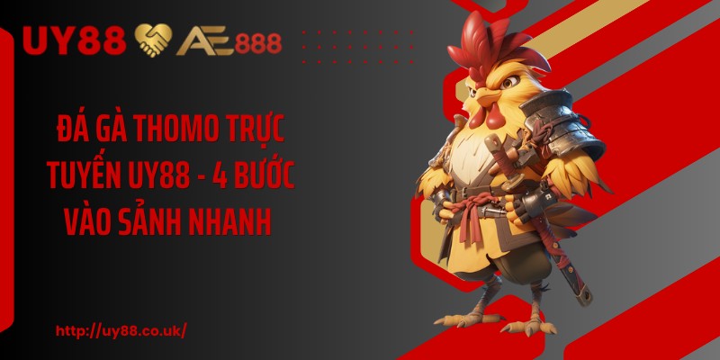 Đá Gà Thomo Trực Tuyến UY88 - 4 Bước Vào Sảnh Nhanh  - playrocket.sbs