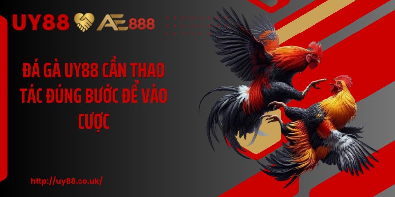 Đá Gà UY88: 4 Hình Thức Cược Hấp Dẫn Cho Hội Viên Mới - playrocket.sbs