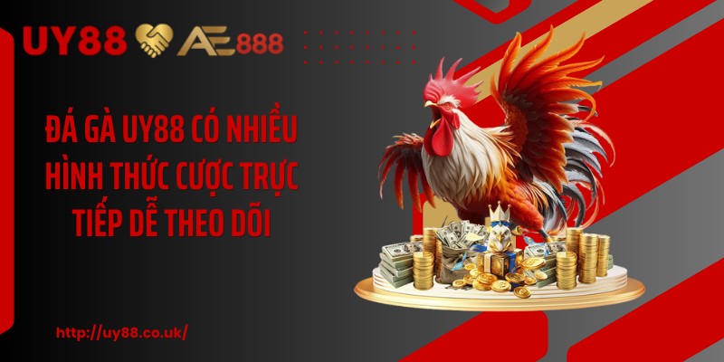 Đá Gà UY88: 4 Hình Thức Cược Hấp Dẫn Cho Hội Viên Mới - playrocket.sbs