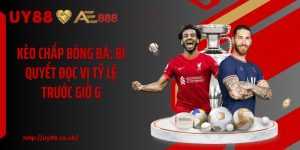 Thể Thao UY88: Trải Nghiệm Cược Hiện Đại, Chuyên Nghiệp - playrocket.sbs
