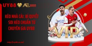 Thể Thao UY88: Trải Nghiệm Cược Hiện Đại, Chuyên Nghiệp - playrocket.sbs